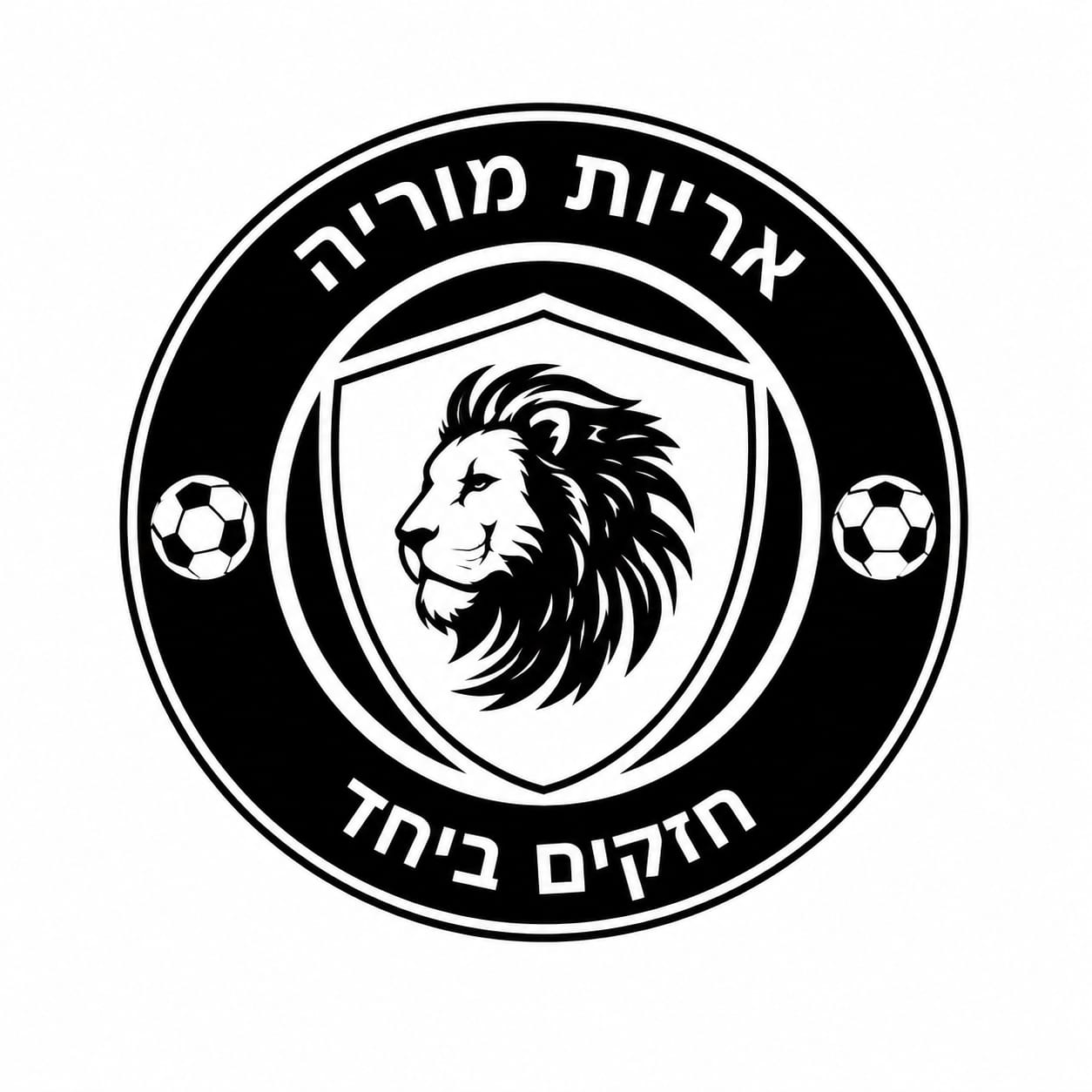 לוגו: לוגו לקוח
